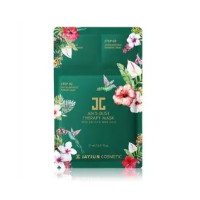 Anti Dust Therapy Mask - 1 Sheet
