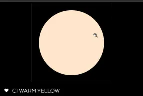C1 WARM YELLOW CREAM FOUNDATION