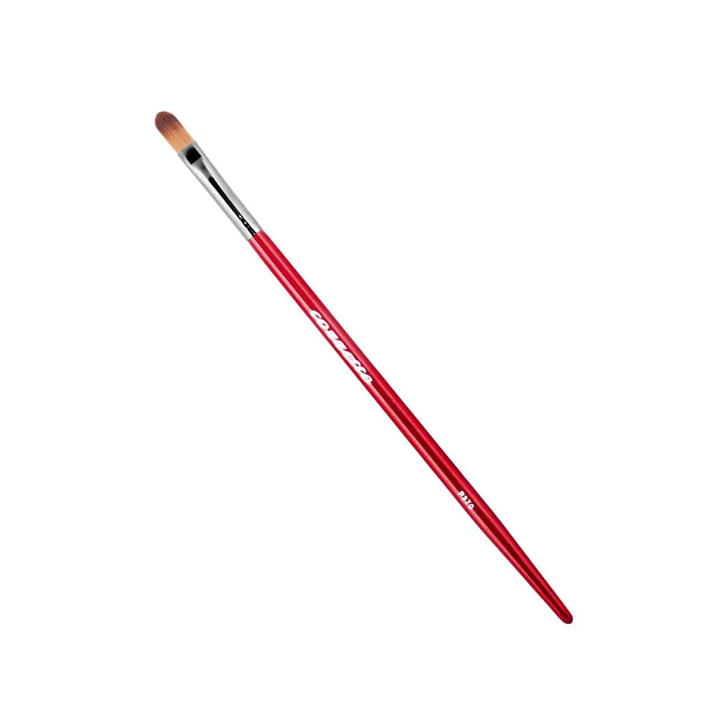 Cozzette Brushes for Face