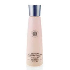 Deep Pore Clarifying Cleanser