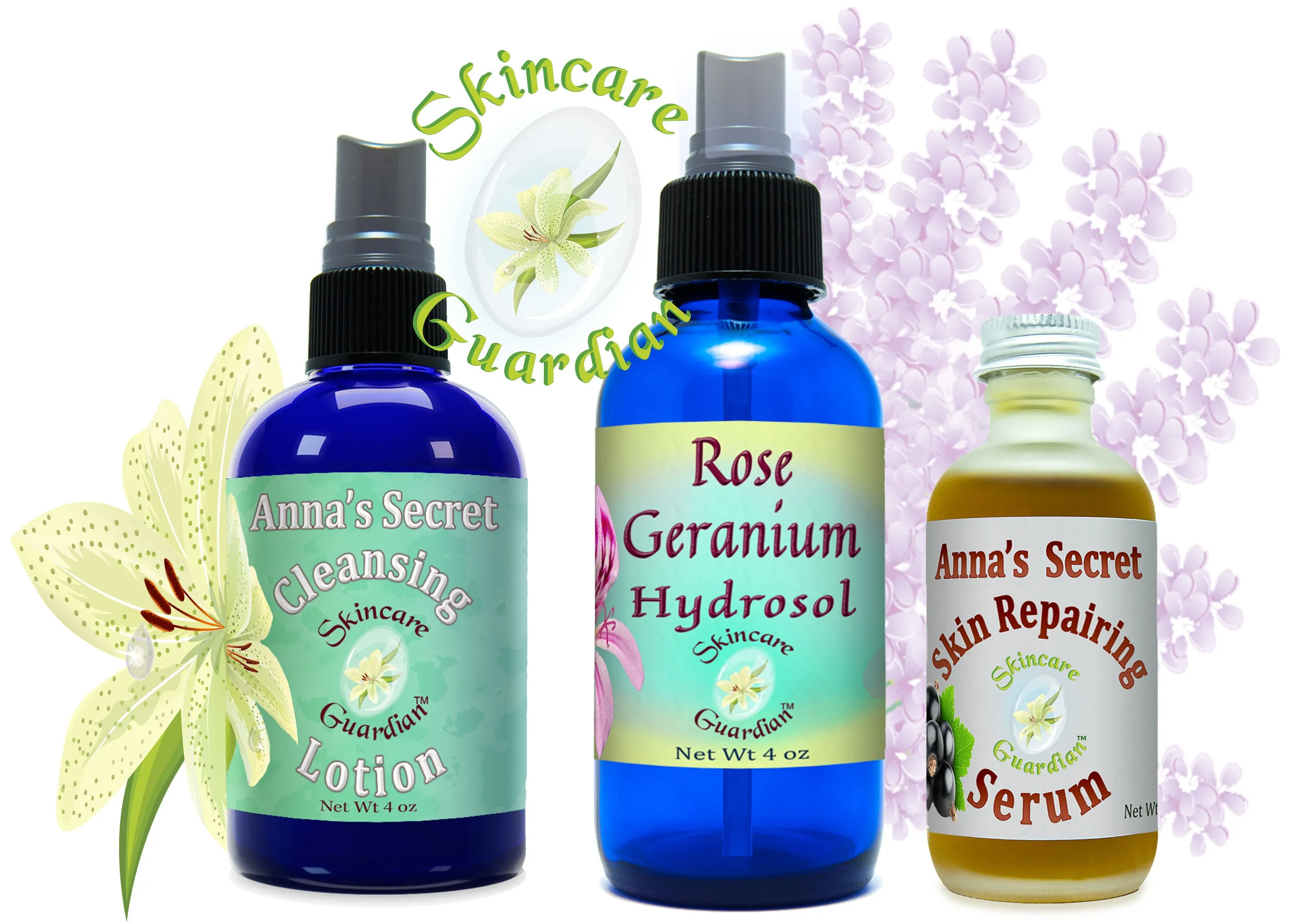 SkinCare Guardian Hydration Facial System