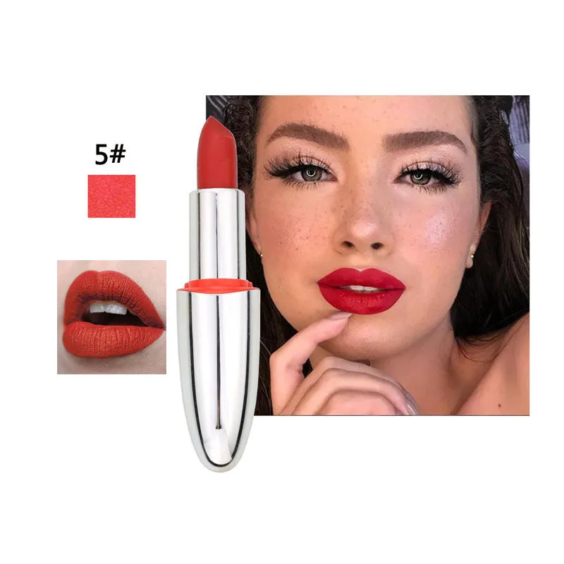 Velvet Matte Waterproof Lipstick